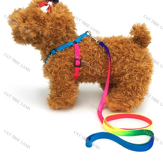 DÂY DẮT CHÓ MÈO KÈM ĐAI NGỰC - DÂY XÍCH CHO THÚ CƯNG