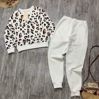 Bộ umi báo trắng