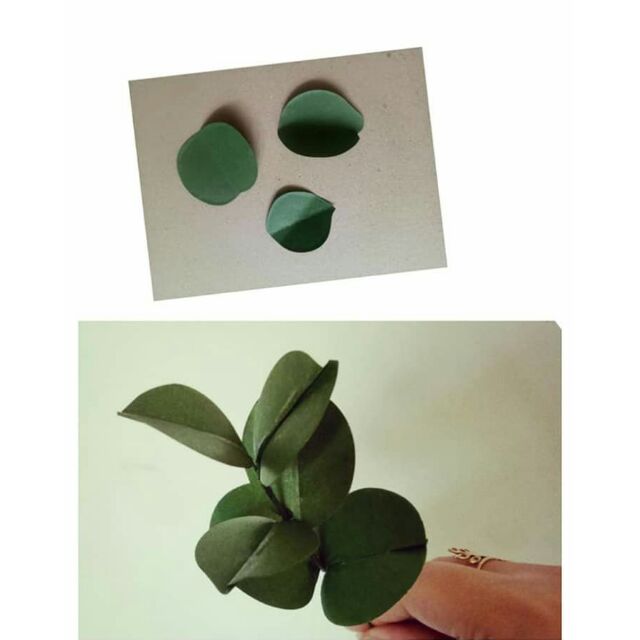 Lá táo nhỏ