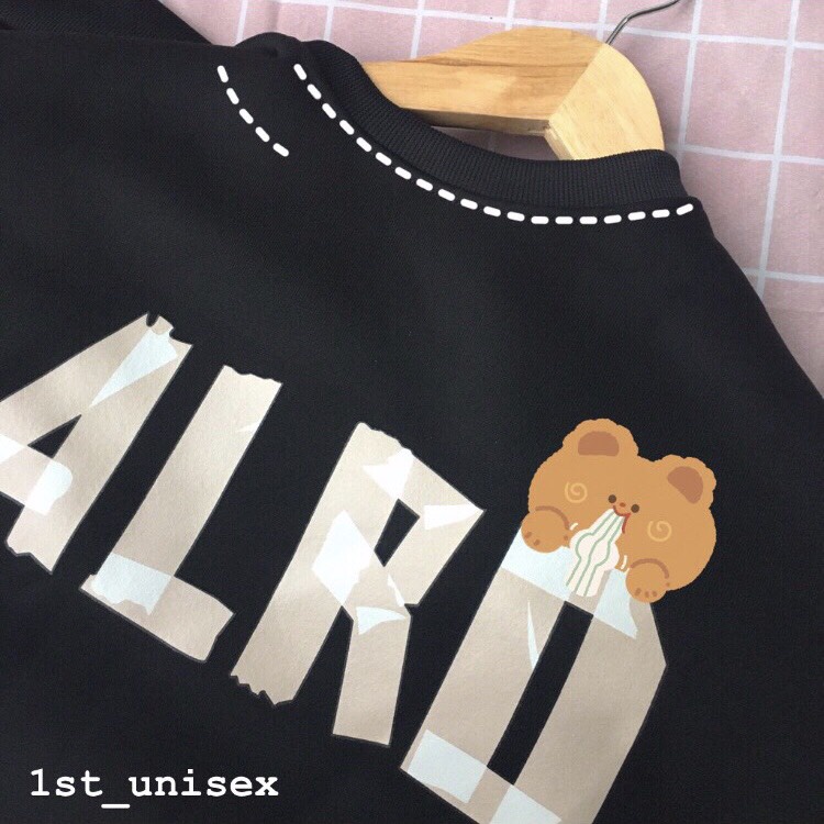 Áo Sweater Áo Hoodie Áo Nỉ Nam Nữ Unisex Lót Bông 100% Hàng Quảng Châu Siêu Đẹp (Ảnh thật ở cuối) | BigBuy360 - bigbuy360.vn