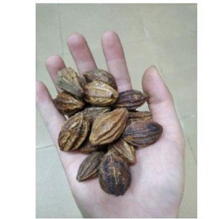 KHA TỬ KHÔ 100GR