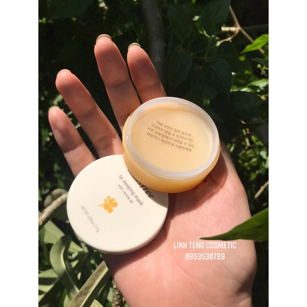 [𝗦𝗔𝗟𝗘]..::✨ Son Dưỡng Cho Môi Innisfree 17gr ( chuẩn Auth ) ✨::..