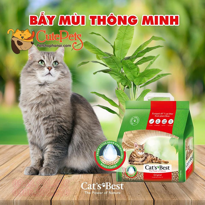 Cát gỗ cho mèo hữu cơ Cat Best Original 5L - Phụ kiện thú cưng Hà Nội