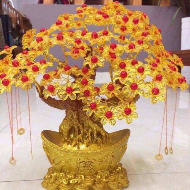 Cây kim tiền( thần tài)
