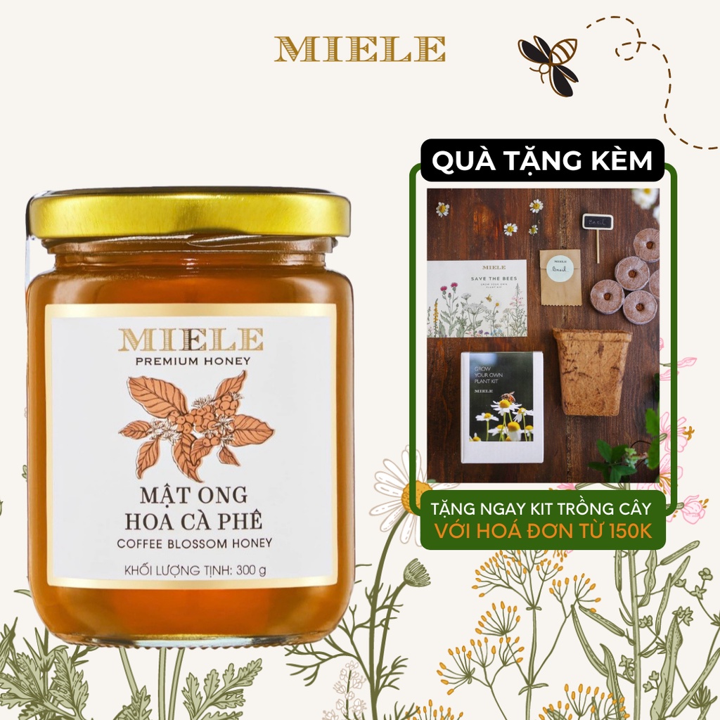 Mật Ong Hoa Cà Phê Miele 300G