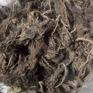 100g rễ lục bình khô (bèo tây)