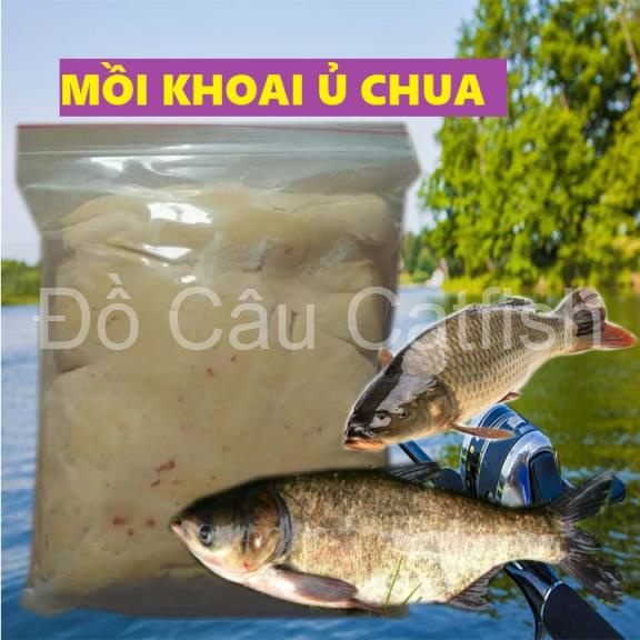 1KG MỒI KHOAI LANG Ủ CÂU CÁ MÈ,CHÉP,TROI-MỒI CÂU CÁ KHOAI LANG Ủ LÊN MEN-MỒI CÂU KHOAI LANG