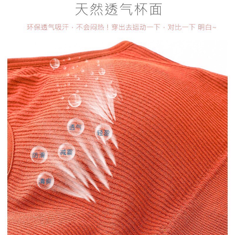 Ymini [Hàng Có Sẵn Cùng Ngày] Áo Ngực Thể Thao Có Đệm Ngực Không Gọng Hình Gấu Phong Cách Nhật Bản Chống Sốc Có Thể Điều Chỉnh | BigBuy360 - bigbuy360.vn