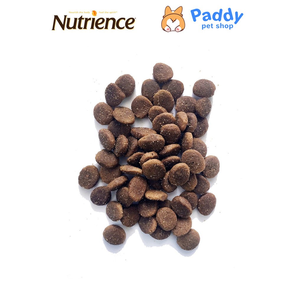 [500g] Hạt Nutrience Original Cho Chó Trưởng Thành Size Lớn - Cừu &amp; Rau Củ Quả