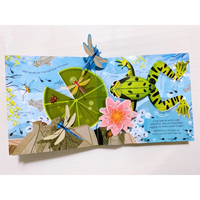 Quà Tặng Usborne Pop Up Season- Nature