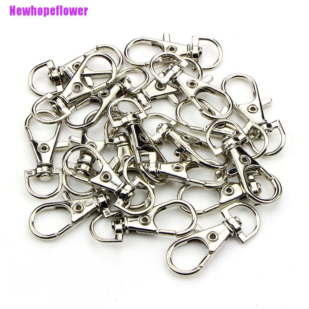 Bộ 10 Hình Tôm Hùm Độc Đáo