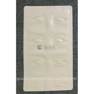 Da giả 3D tập phun xăm thẩm mỹ