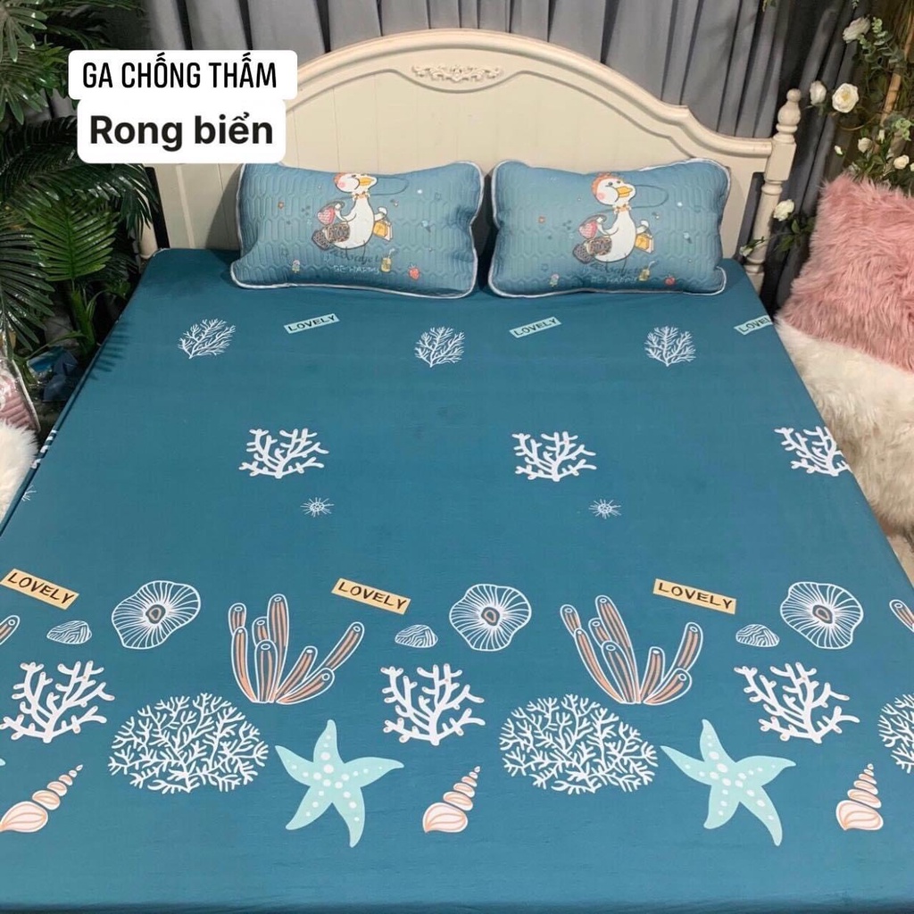 ⚡️ Ga chống thấm cotton HÀN QUỐC không nóng, không bí, thoáng mát - Ga chống thấm cotton bảo vệ đệm  Ấm Êm Decor ⚡️