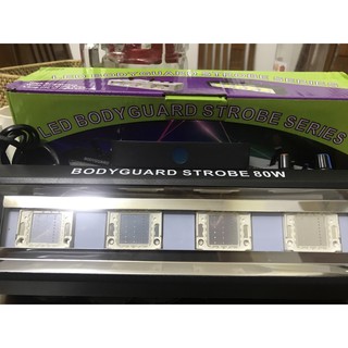 Đèn chớp led pun màu rgbkt