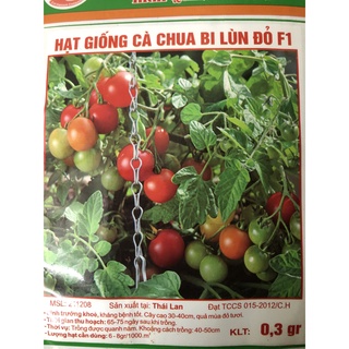 Hạt giống Cà chua bi 🍅
