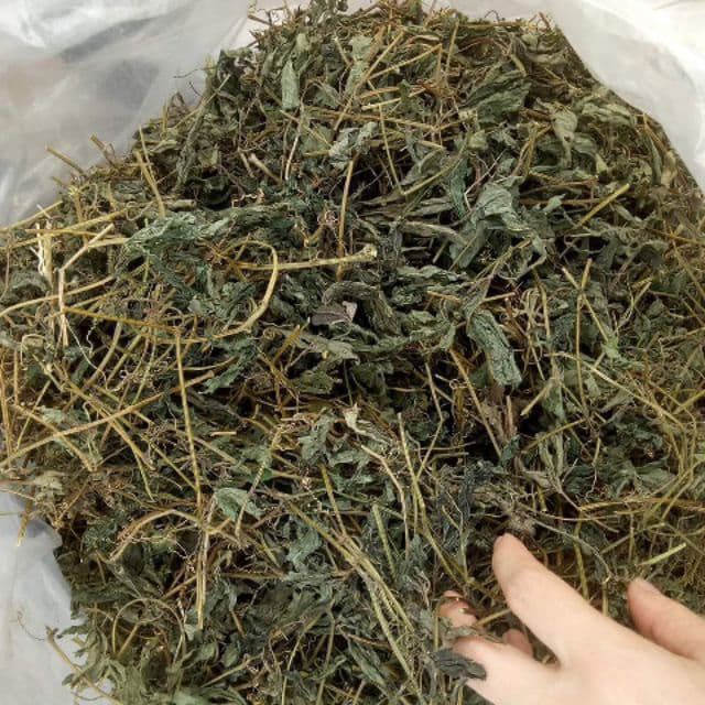 200g giảo cổ lam rừng 5 lá chuẩn hòa bình