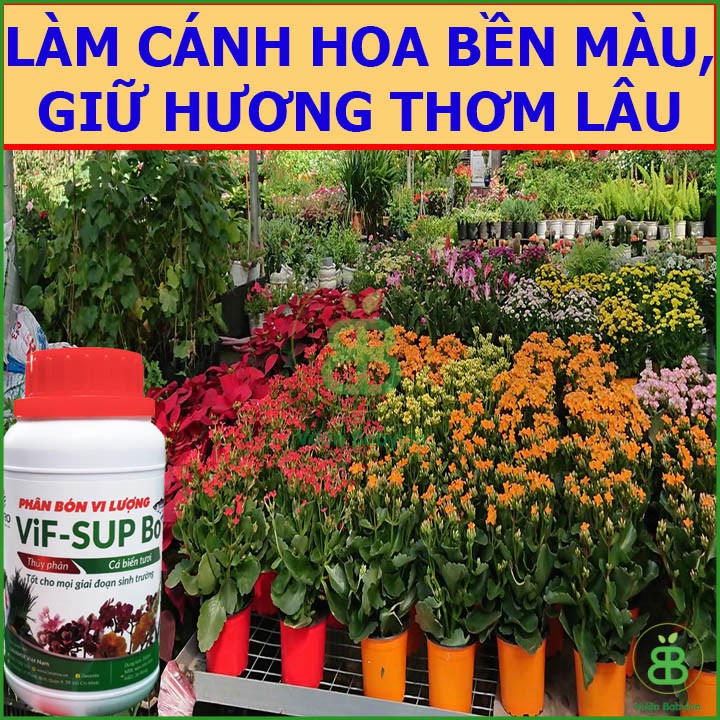 Phân Đạm Cá Hữu Cơ Vi-Sup Bo Chai 250ml - Giàu Đạm và Vi lượng Hữu cơ