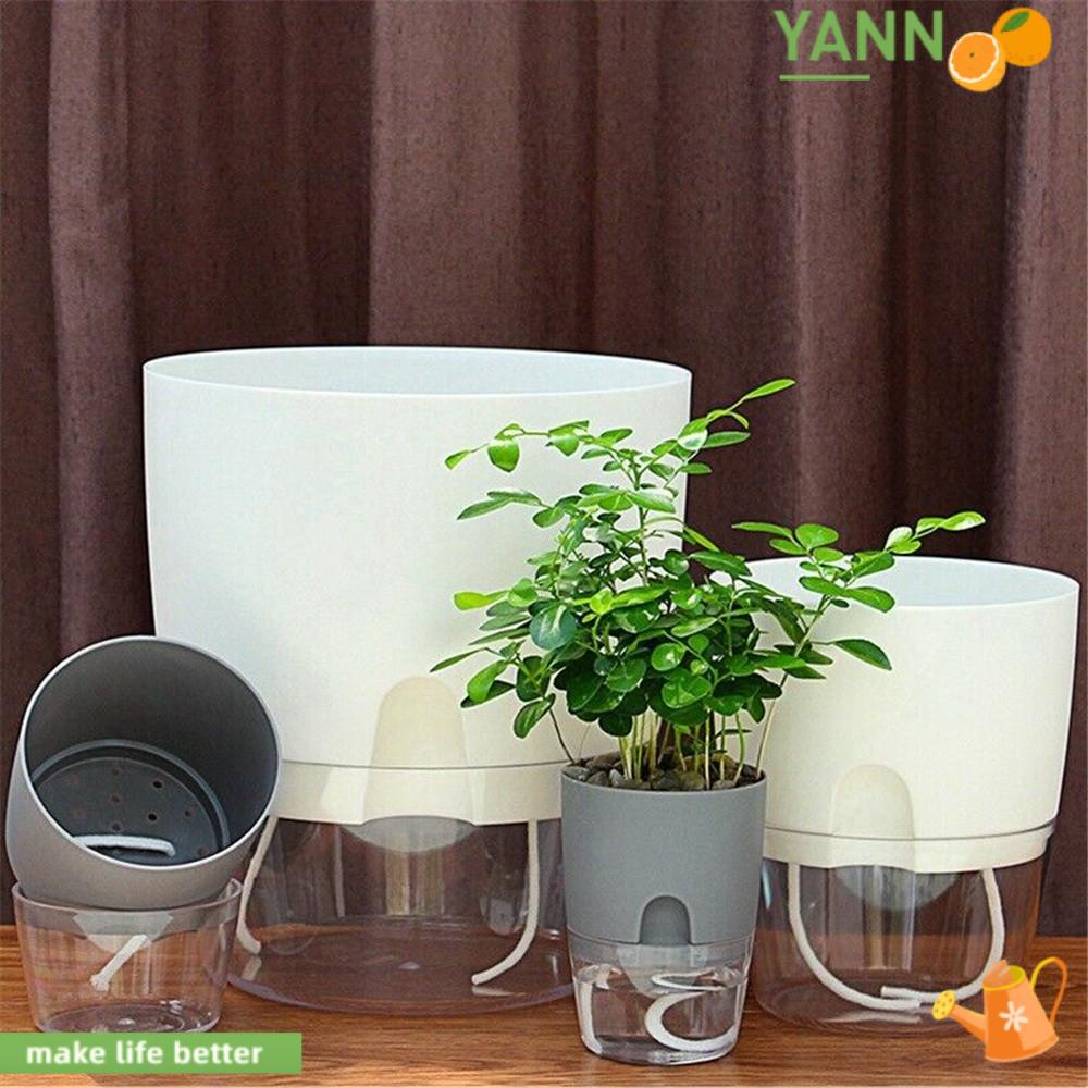 Chậu Trồng Cây Trong Suốt Hình Tròn Tự Động Thấm Nước Kèm Dây cotton