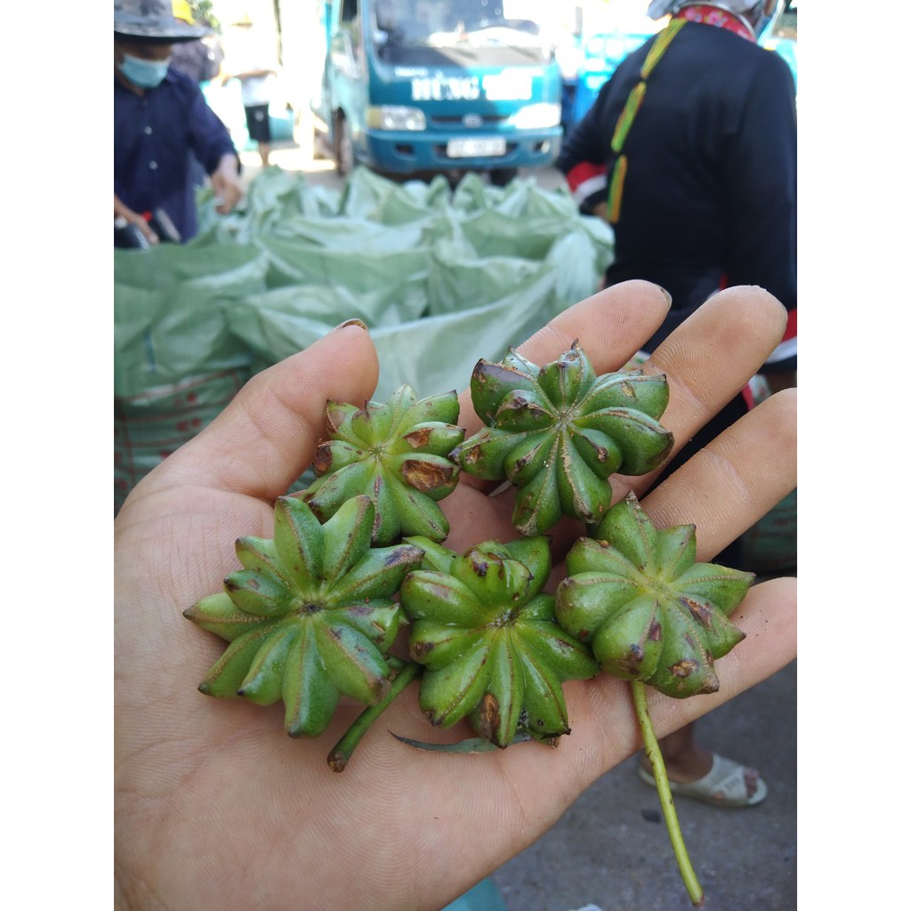 Hoa Hồi 100g