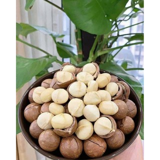 AVMM | Hạt mắc ca macca
