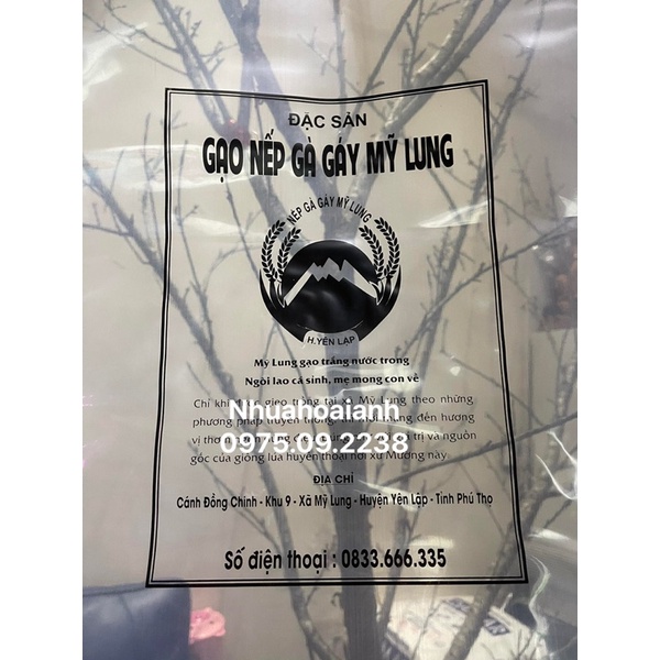 túi gạo nếp mỹ lung, túi gạo 5kg in theo yêu cầu