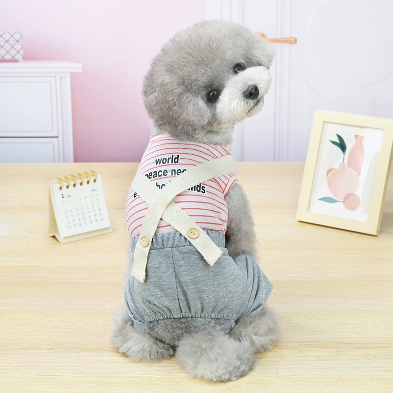Bộ 4 chân siêu xinh cho thú cưng 🥰