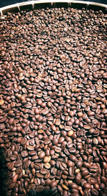 500 Gram - CÀ PHÊ RANG MỘC - GU 1 - PHỐI TRỘN ROBUSTA 70% VÀ 30% ARABICA - DÀNH CHO PHA MÁY/PHA PHIN.