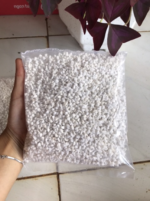 Đá Perlite - Đá trân châu rải măt trộn giá thể trồng sen