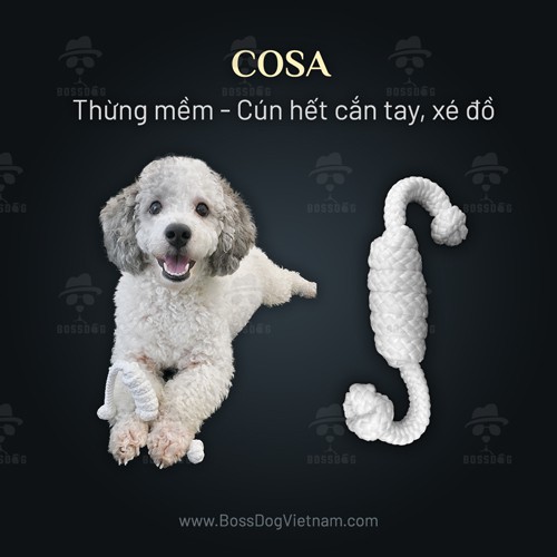 Dây thừng mềm đồ chơi chó huấn luyện Poodle Corgi Husky | Bossdog