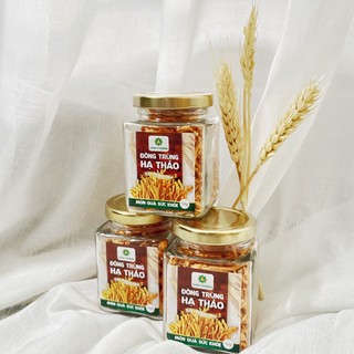 Đông trùng hạ thảo 10G [Sấy thăng hoa thượng hạng]cấy và thu hoạch tại trại nấm Chân Phương