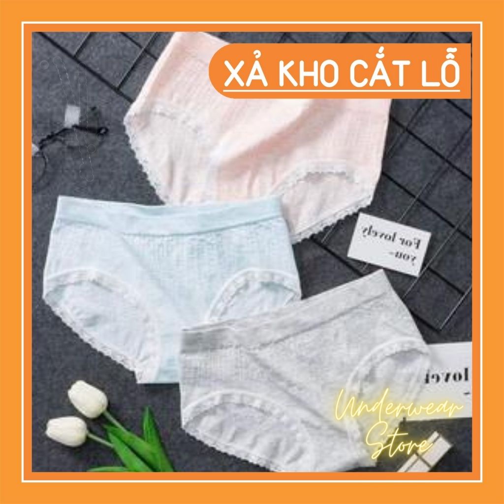 [ Hàng Loại 1] Hộp 5 Quần Lót Cotton Gân Tăm Xuất Nhật Co Giãn 4 Chiều Đóng Hộp Sịn Xò