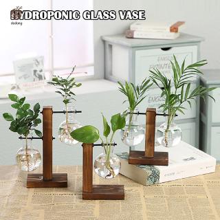 Kệ gỗ đựng chậu cây trồng trong suốt kiểu vintage