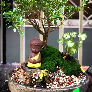 Phụ kiện trang phí - Tượng Phật