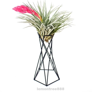 Chậu cây trang trí chân sắt phong cách Bắc Âu độc đáo