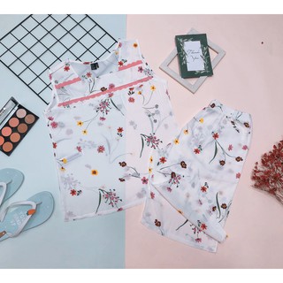 Bộ lững sát nách Tole