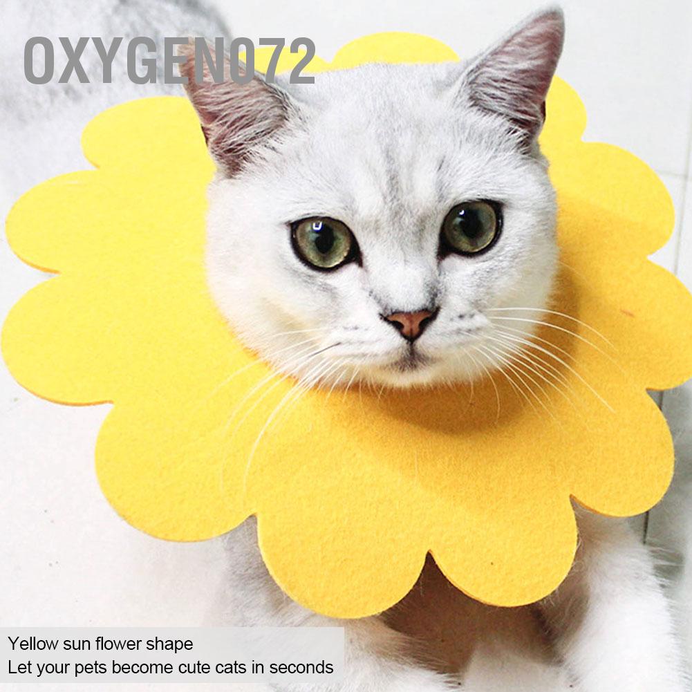 Oxygen072 5 cái Pet Cat Phục hồi Cổ áo Màu vàng Hoa mềm Hình nón Elizabeth Chống Cắn vết thương Bảo vệ Chữa lành Vết