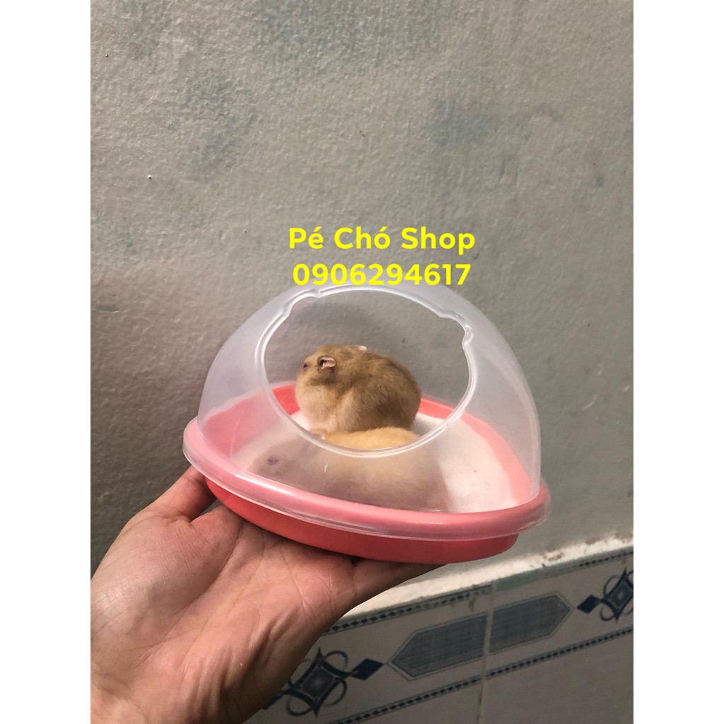 Nhà Tắm Cát lớn cho hamster Bear ,ngũ sắc .