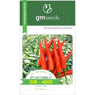 Hạt giống Ớt chỉ thiên F1 GM4000 - Túi 5g