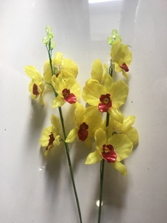 Combo 2 Cành hoa lan hồ điệp