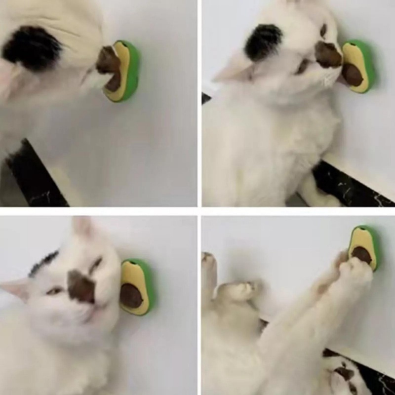 Trái bơ catnip dính tường cho mèo chơi