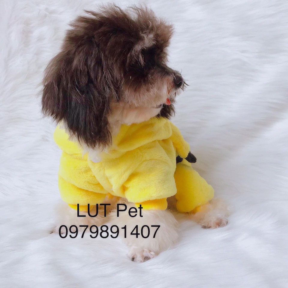 Quần áo cho chó mèo mùa đông Pikachu cute Full size - lutpet