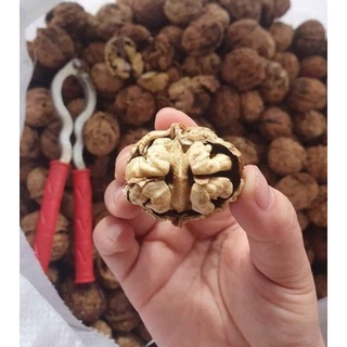 Óc chó nếp sâp 1kg loaii 1
