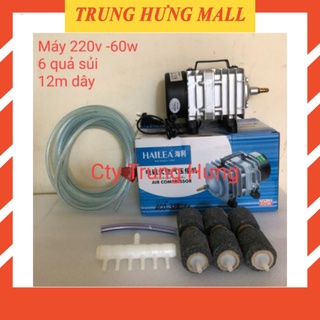 Máy sục sủi thổi khí oxy Hailea 220V-60w + 6 quả sủi + 12m dây.