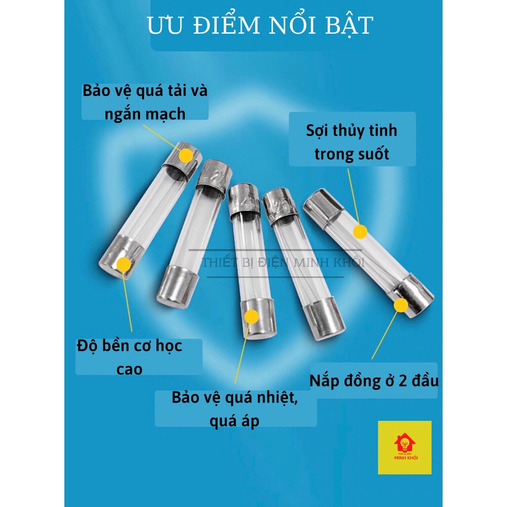 Bộ 10 Cầu Chì Ống Thủy tinh 250v 5x20mm và 6x30mm các loại