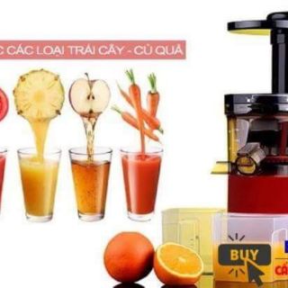 Máy ép chậm hoa quả