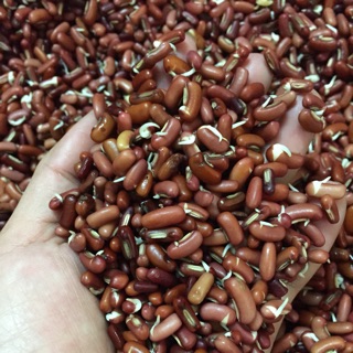Bột ngũ cốc dinh dưỡng hộp 500g
