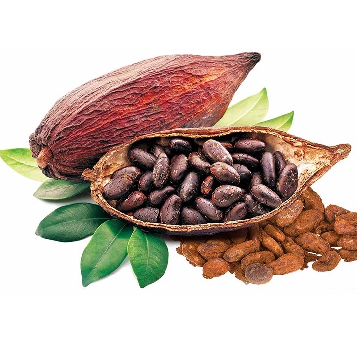 Bột cacao hữu cơ nguyên chất tách béo 200gr - Kakao