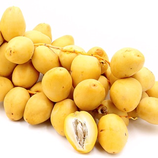 Chà là trung đông hạt giống