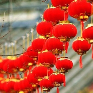 10 quả đèn lồng nhung quả cầu trang trí cây đào, quất ngày Tết