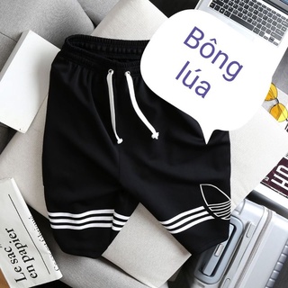 [bigsize <135kg] quần short thun big size nam
